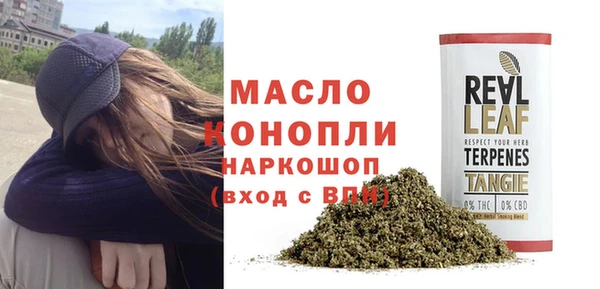 мяу мяу мука Елабуга