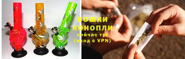 гашик Елизово