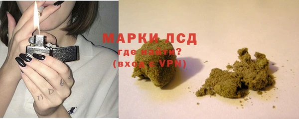 мяу мяу мука Елабуга