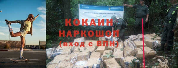 гашик Елизово