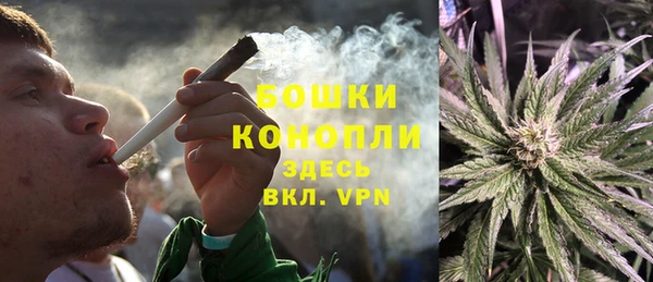 мяу мяу мука Елабуга