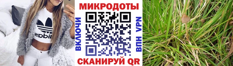 Купить закладки  Южно-Сахалинск  Галлюциногенные грибы Psilocybine cubensis 